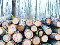Sustainability