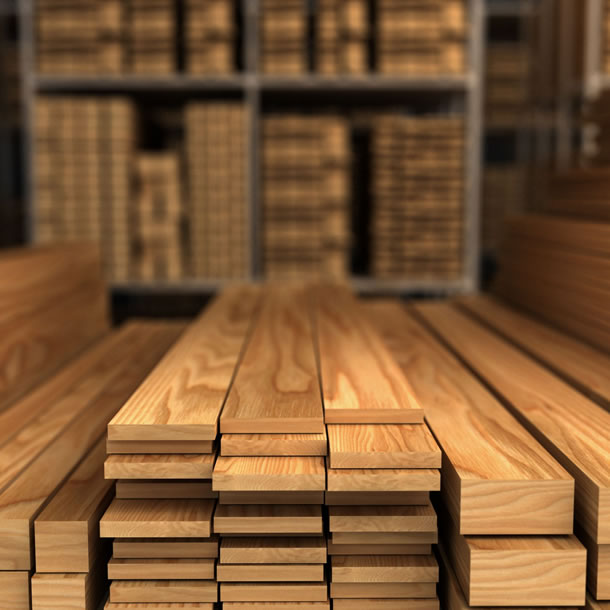 Global Timber Export Hub - Finewood
